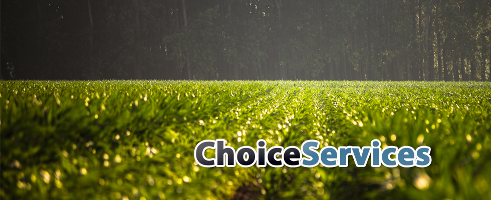 Choice Services